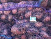 Продам овощи в Берёзовке, Реализую продукция урожая 2018 года, Картофель: Розара, гала