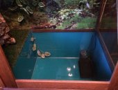Продам в Арамиле, Эксклюзивный террариум аквариум ручной работы с бассейном, Размеры