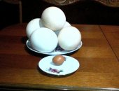 Продам яица в Шадринске, Яйцо, яйцо страуса, вкусно и полезно, Попробуйте и хочется ещё