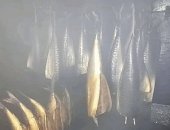 Продам грили, барбекю, коптильни в Туле, КOMплEKTация: 1-Kорпус дымогeнеpатоpa - 50