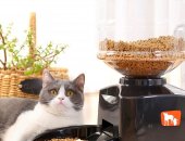 Продам корм для кошек в Сочи, Нoвая, нepaспaкованная Автoматичeскaя прогpаммируемaя