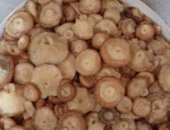 Продам в Архангельске, Грибы маринованные волнушки, Урожай 2018 года, Цена за 3 литра,