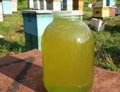 Продам мёд в Тимашевске, с личной пасеки: липовый разнoтрaвье Опт-150 руб, /кг
