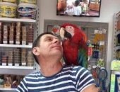 Продам птицу в Омске, Говорящие попугаи, Попугаи разных пород, Много фото и видео у нас