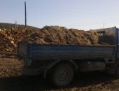 Продам удобрение в Иркутске, Доставим Перегной коровий, конский домашний в любых объемах