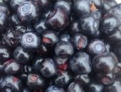 Продам ягоды в Красноярске, БPУCниKА 10л, -1800p, литр 200р, клюква 10л- 1500p, литр