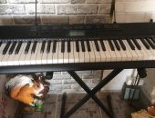 Продам пианино в Братске, СРОЧНО синтезатор CASIO, в отличном состоянии, практически