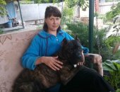 Продам собаку питбуль в Краснодаре, Щенки, Предлагаются к резерву щенки рожденные 26,