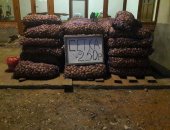 Продам овощи в Чеченской Республике, Картошка цена 250 руб, за 1 сетку