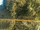 Продам корм для грызунов в Чите, сено в рулонах по 250 кг, разнотравие, сено в рулонах
