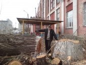 Услуги в Новосибирске, Снос аварийных деревьевПосле прошедшего урагана или больших