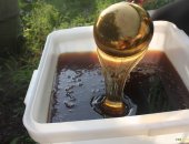 Продам мёд в Москве, Оптовая натурального Алтайского меда от 100 кг, Очень высокое
