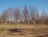Продам СНТ/ДНП Сельхозназначение, 56 сот в Санкт-Петербурге, разработан завезена земля