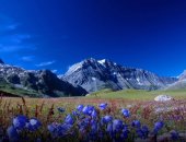 В городе Москва, Туры на Алтай - индивидуальные и групповые, Откройте для себя Алтай с