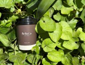 Услуги в городе Махачкала, Брендированные бумажные стаканы, для продвижения бренда, опт